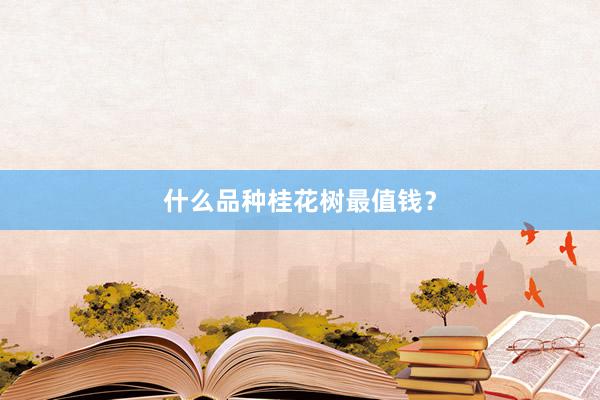 什么品种桂花树最值钱？